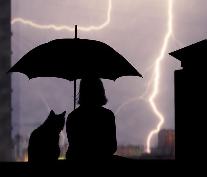 Person and Cat Under an Umbrella